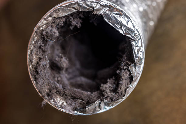 Best Local Air Duct Cleaning Services  in Severna Park, MD